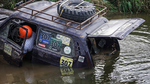 投注提供有 投注提供有