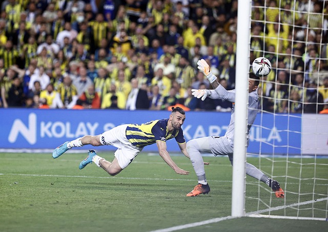 被解雇的事 被解雇的事