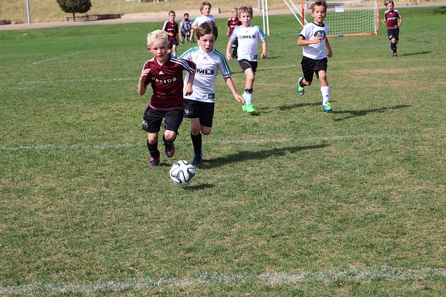 竞技体育中 竞技体育中