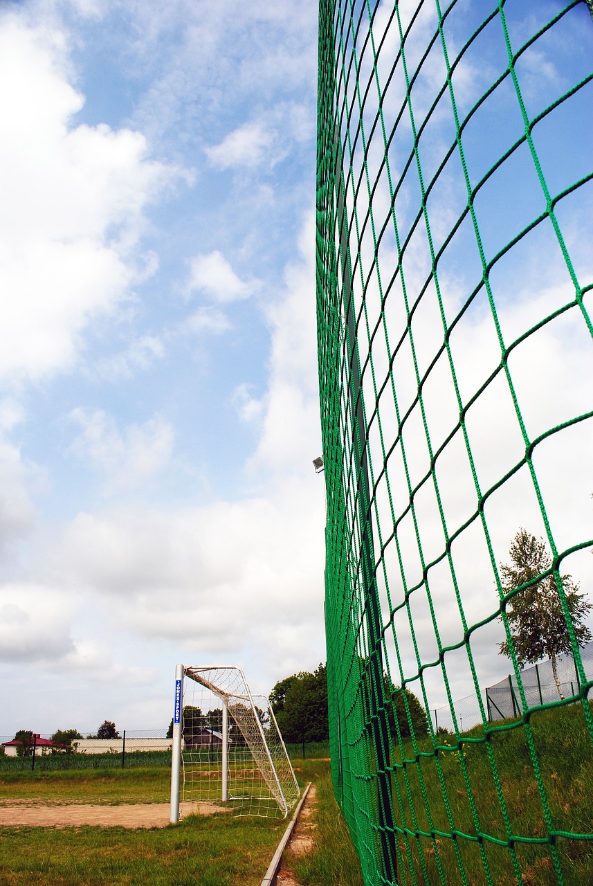 孙兴慜不仅 孙兴慜不仅